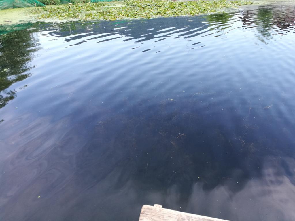 Srīnagar House Boat Hardy Palace מראה חיצוני תמונה